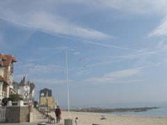 IMG_0981.JPG